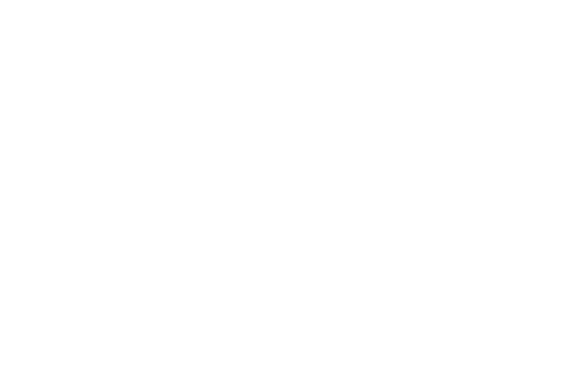logo mondschoen weiss